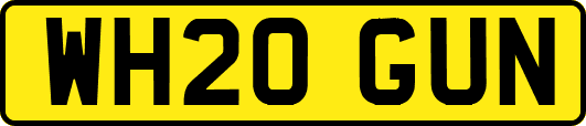 WH20GUN
