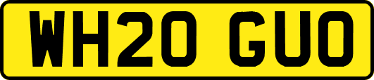 WH20GUO