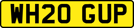 WH20GUP