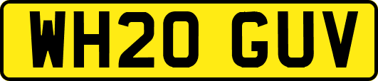 WH20GUV