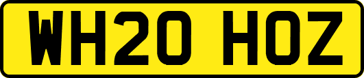 WH20HOZ