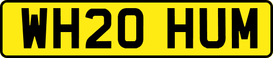 WH20HUM