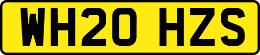 WH20HZS