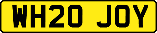 WH20JOY