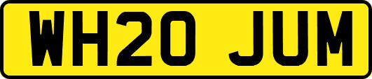 WH20JUM