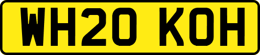 WH20KOH