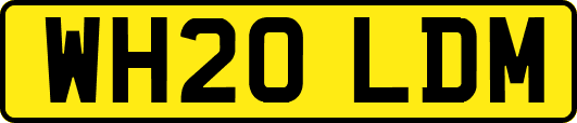 WH20LDM