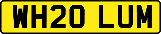 WH20LUM