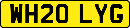 WH20LYG