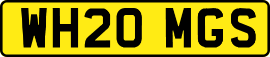 WH20MGS