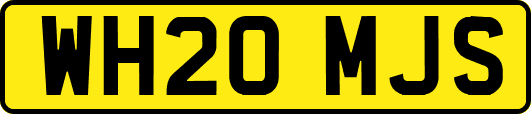 WH20MJS