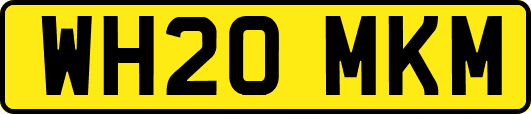 WH20MKM