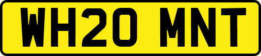WH20MNT