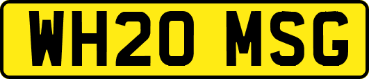 WH20MSG