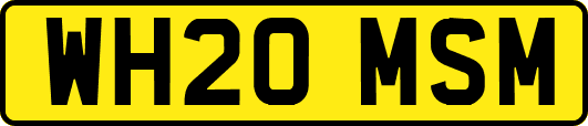 WH20MSM