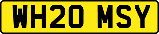 WH20MSY