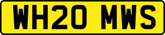 WH20MWS