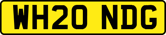 WH20NDG