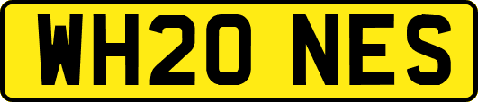 WH20NES