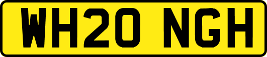 WH20NGH