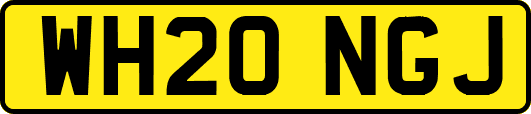 WH20NGJ