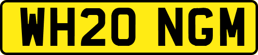 WH20NGM