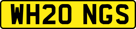 WH20NGS