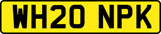 WH20NPK