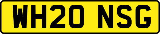 WH20NSG