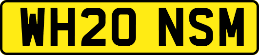 WH20NSM