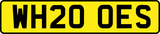 WH20OES