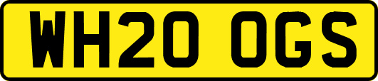 WH20OGS
