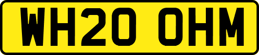 WH20OHM
