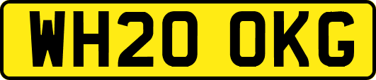 WH20OKG