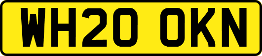 WH20OKN