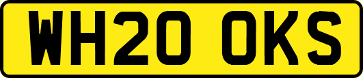 WH20OKS