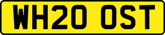WH20OST