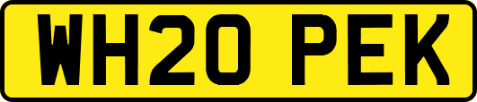 WH20PEK