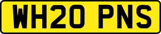WH20PNS