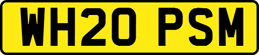 WH20PSM