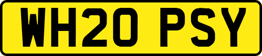 WH20PSY