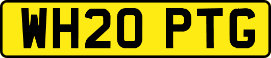 WH20PTG