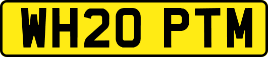 WH20PTM