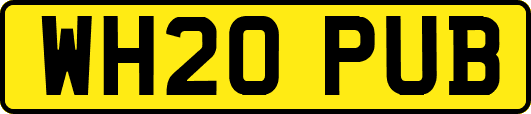 WH20PUB