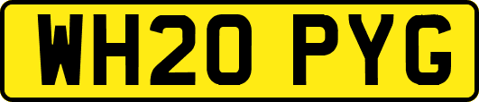 WH20PYG