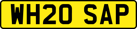 WH20SAP