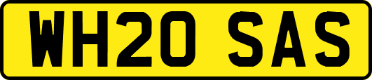 WH20SAS