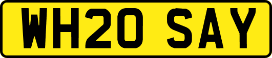 WH20SAY