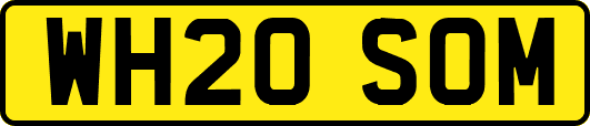 WH20SOM