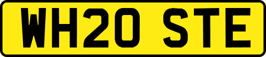WH20STE